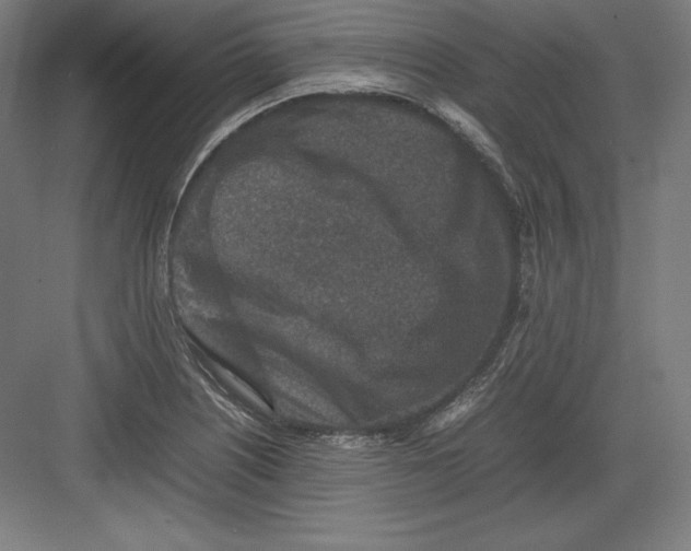 X0000082751226200702161951