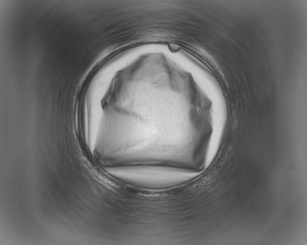 X0000082751227200702161951