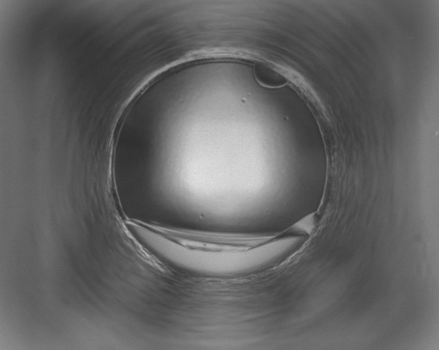 X0000082751228200702161951