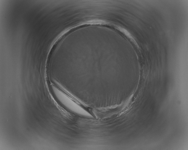 X0000082751229200702161951