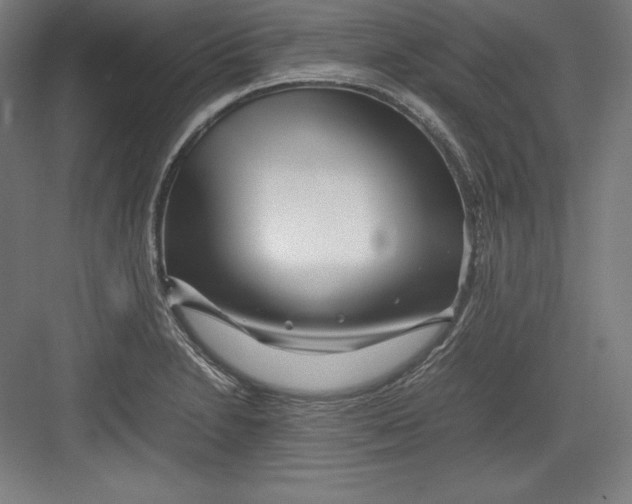 X0000082751230200702161951