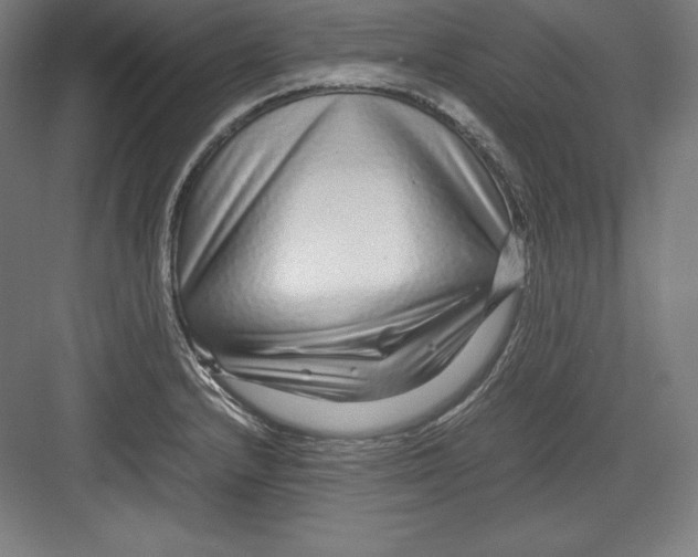 X0000082751232200702161951