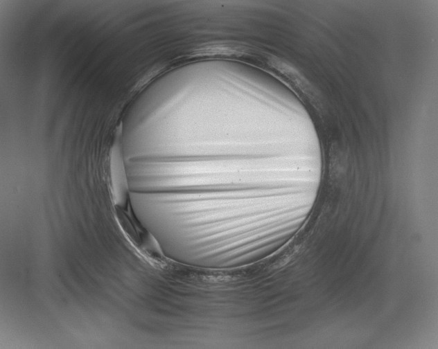 X0000082751233200702161951