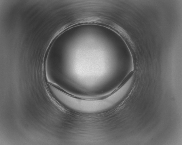 X0000082751234200702161951