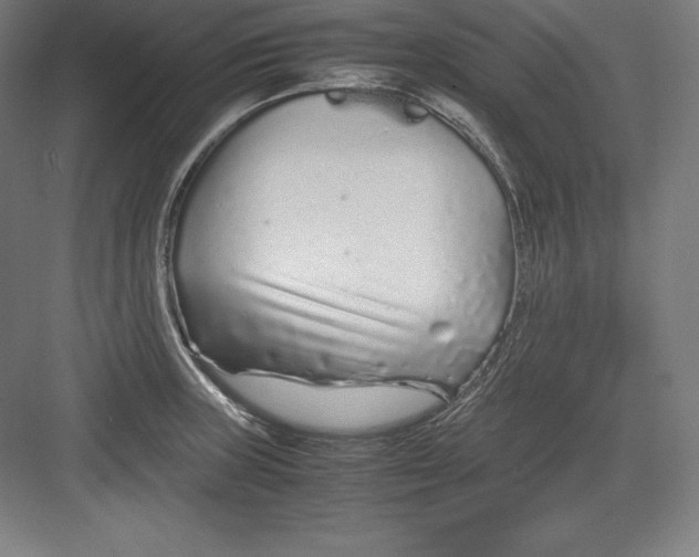 X0000082751235200702161951