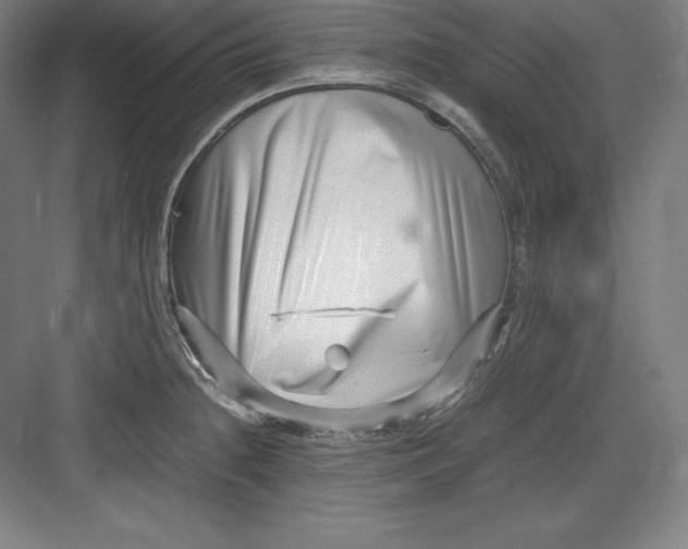 X0000082751236200702161951