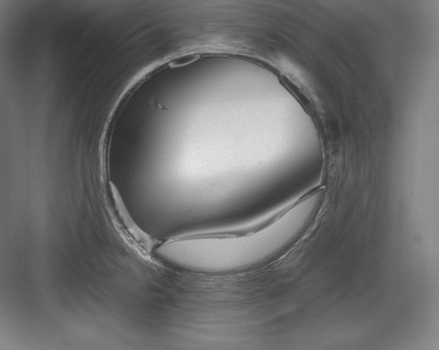 X0000082751238200702161951