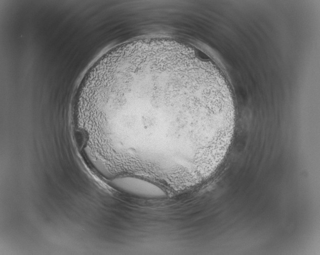 X0000082751243200702161951