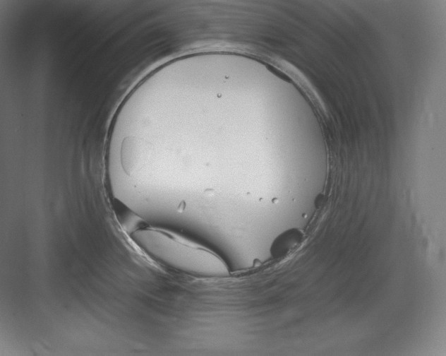 X0000082751244200702161951