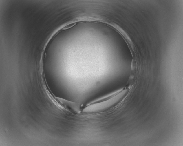X0000082751246200702161951