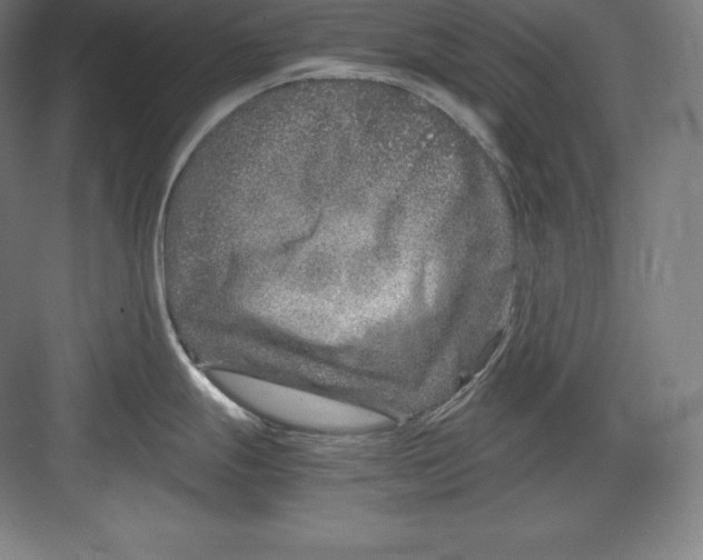 X0000082751247200702161951