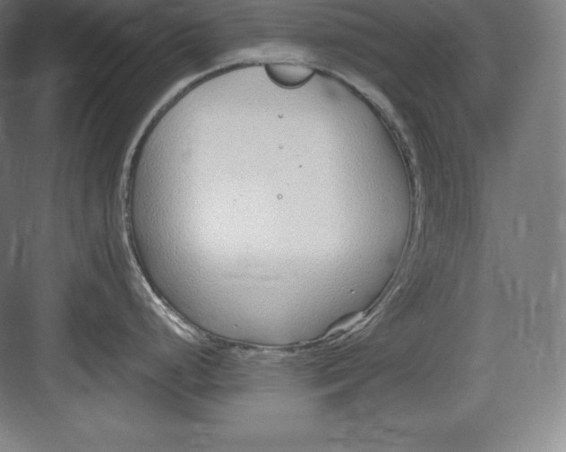 X0000082751248200702161951