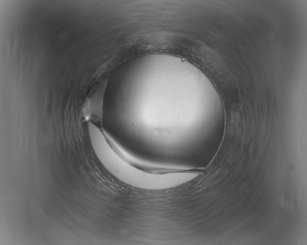 X0000082751250200702161950