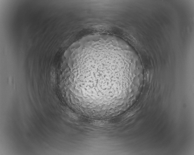 X0000082751251200702161950