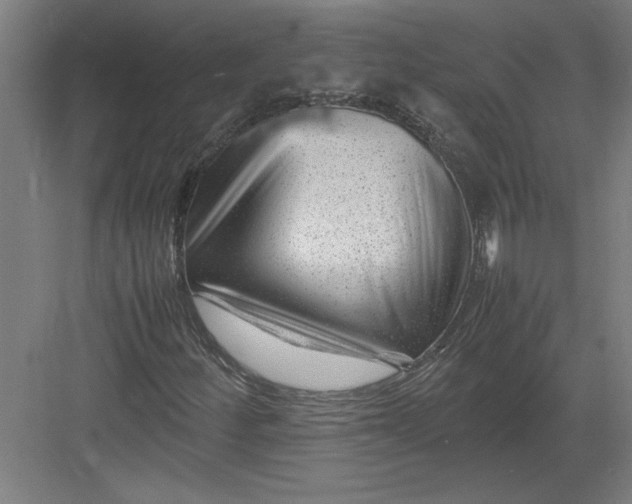 X0000082751252200702161950