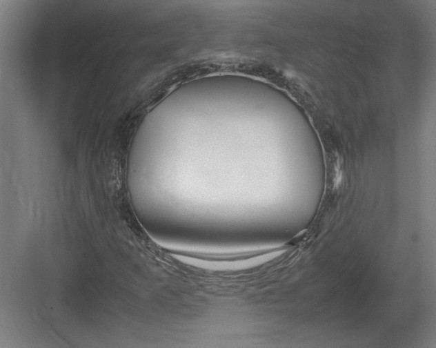 X0000082751253200702161950