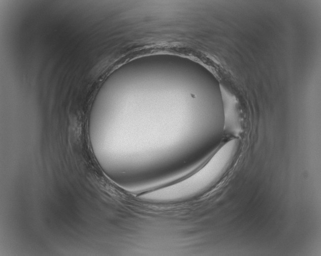 X0000082751257200702161950
