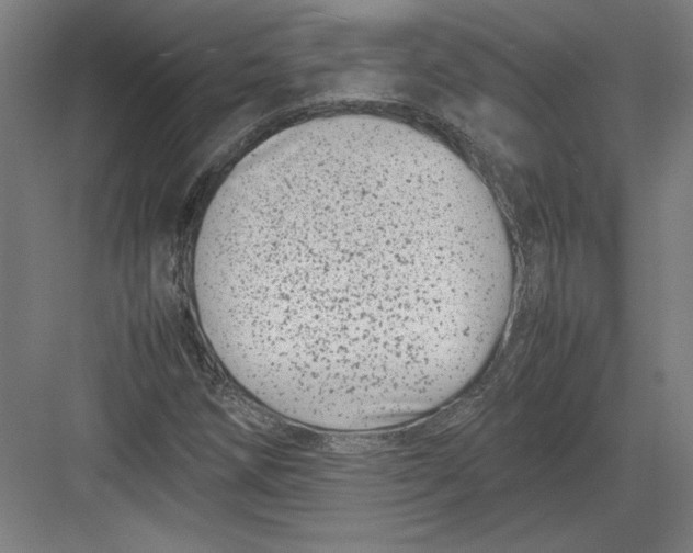 X0000082751258200702161950