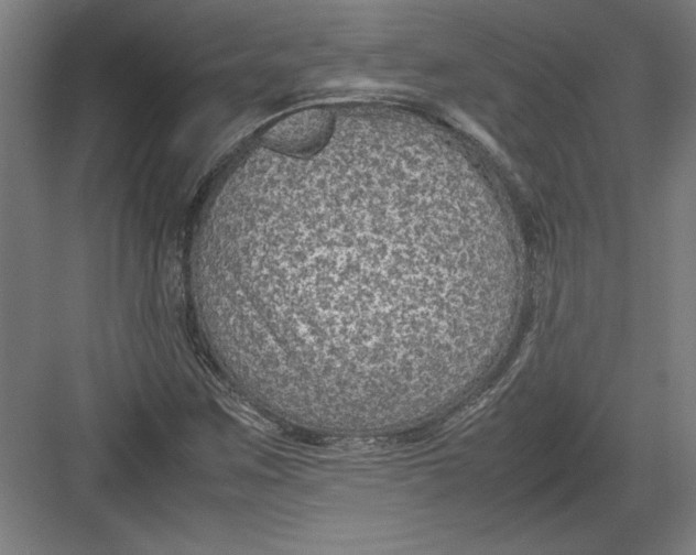 X0000082751259200702161950