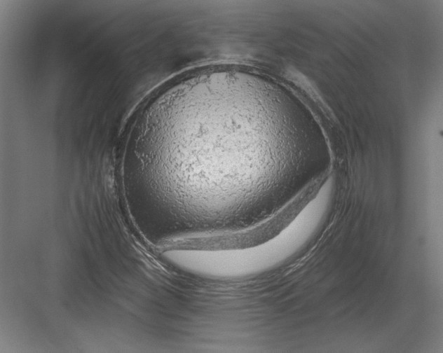 X0000082751260200702161950