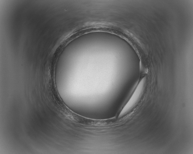 X0000082751261200702161950