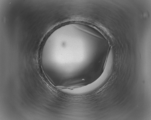 X0000082751264200702161950
