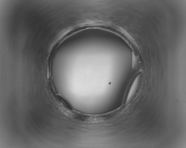 X0000082751269200702161950