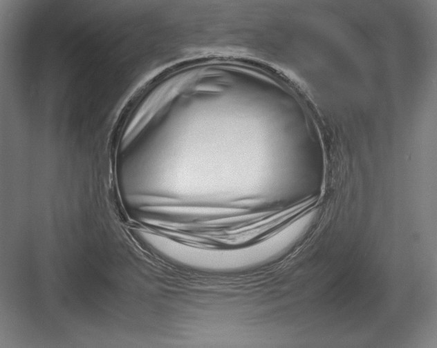 X0000082751271200702161950