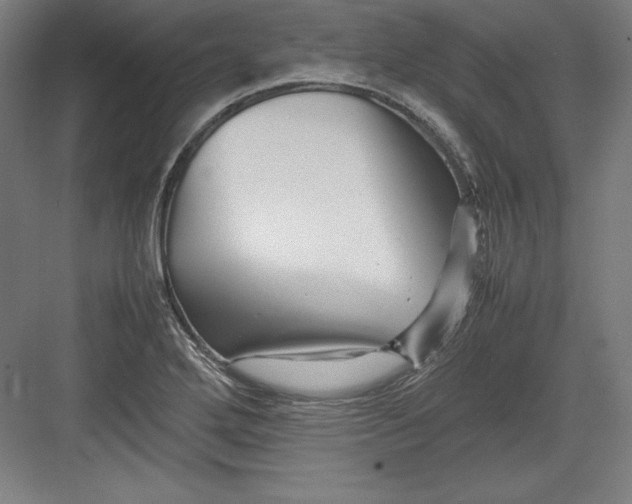 X0000082751272200702161950