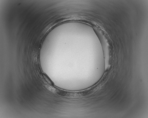 X0000082751273200702161950