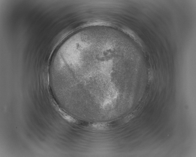 X0000082751274200702161950