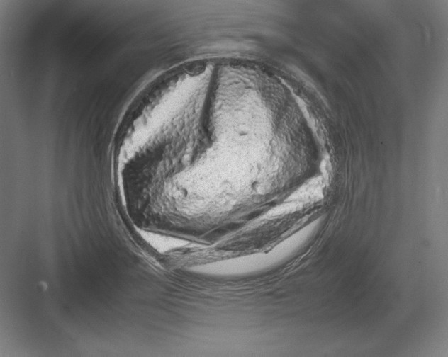 X0000082751275200702161950