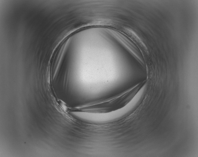 X0000082751276200702161950
