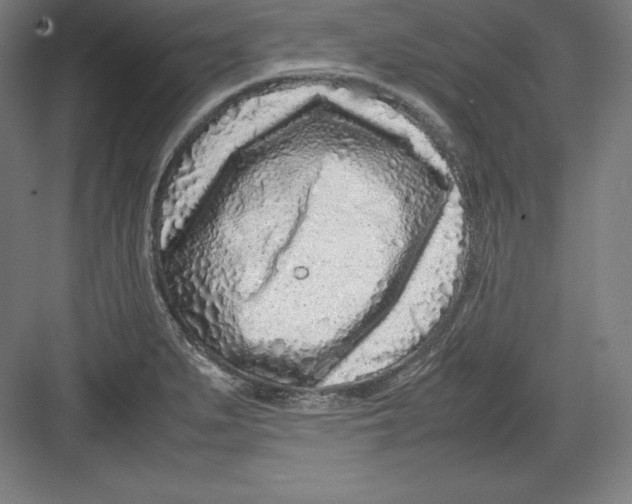 X0000082751279200702161950