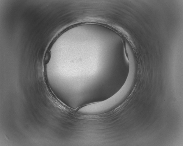 X0000082751280200702161950