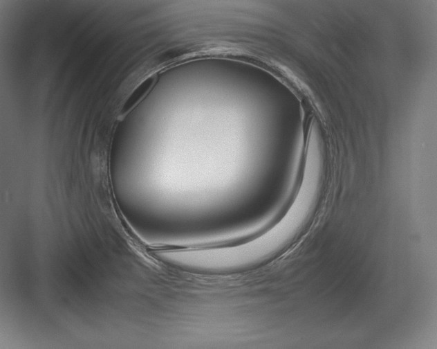 X0000082751281200702161950