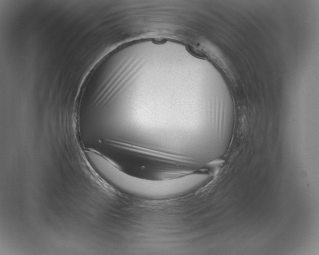 X0000082751284200702161950