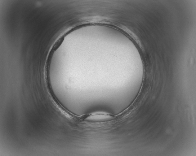 X0000082751285200702161950