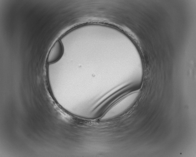 X0000082751287200702161950