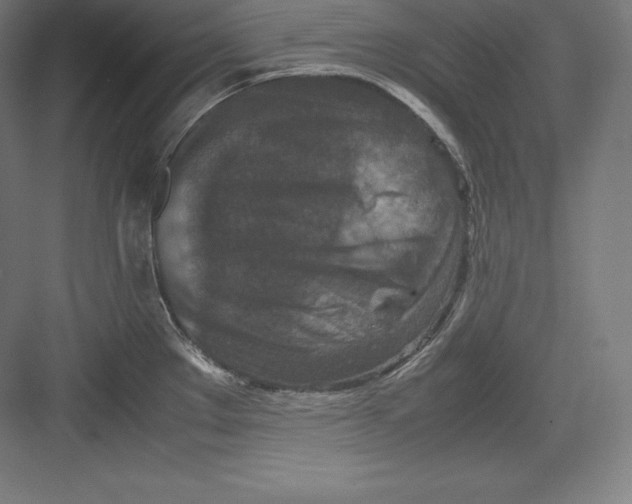 X0000082751289200702161950