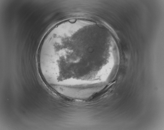 X0000082751291200702161950