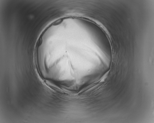 X0000082751295200702161950