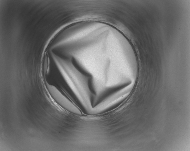 X0000082751296200702161950
