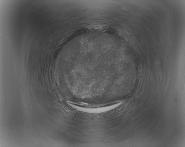 X0000082751297200702161949