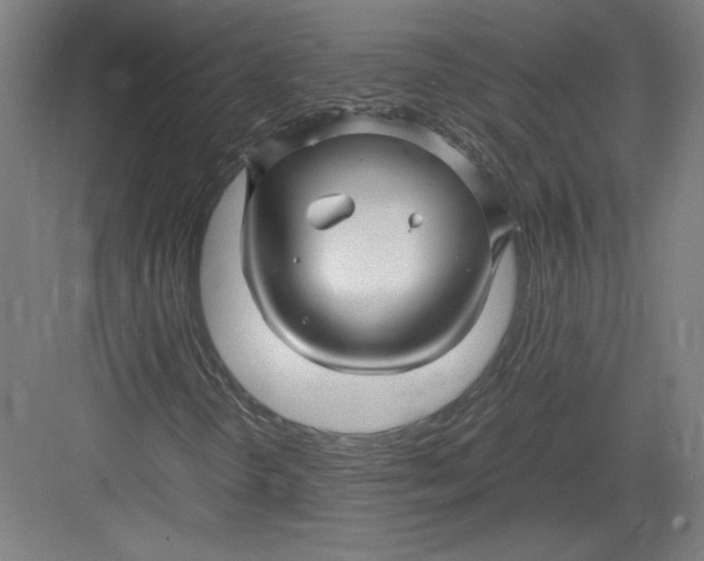 X0000082751298200702161949