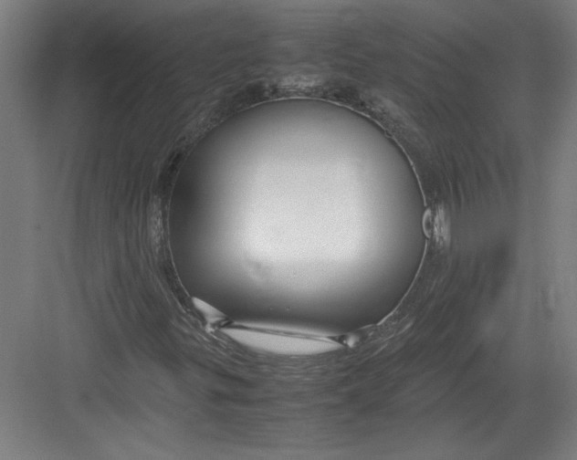 X0000082751299200702161949