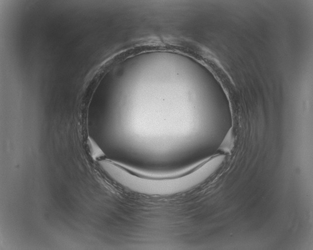 X0000082751304200702161949