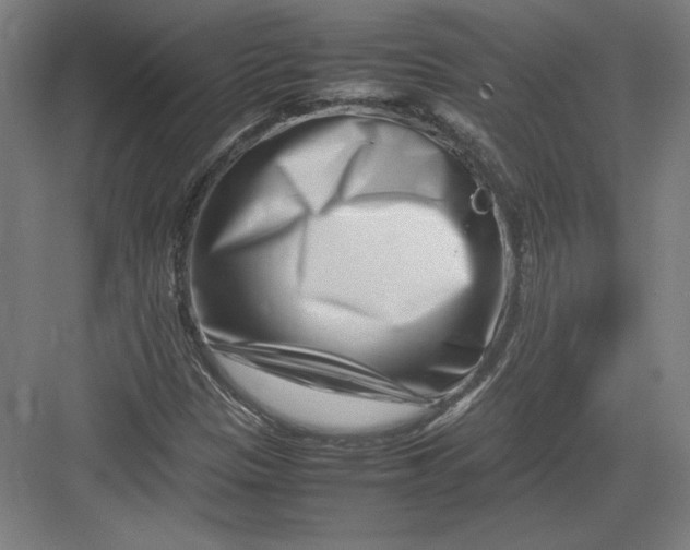X0000082751305200702161949
