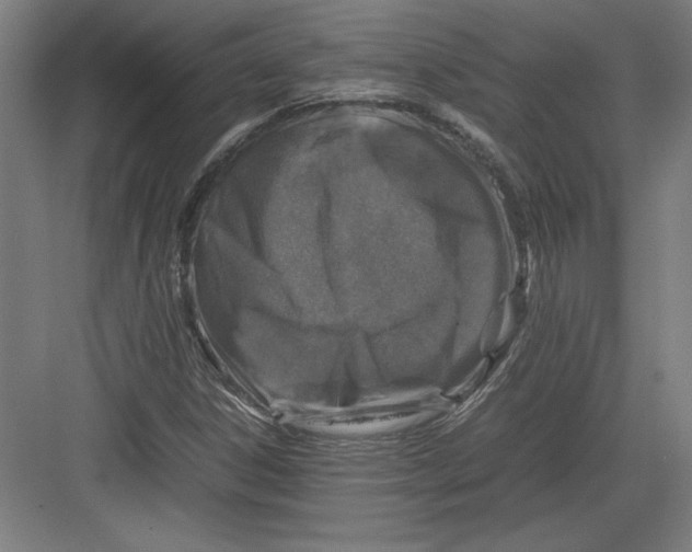 X0000082751306200702161949