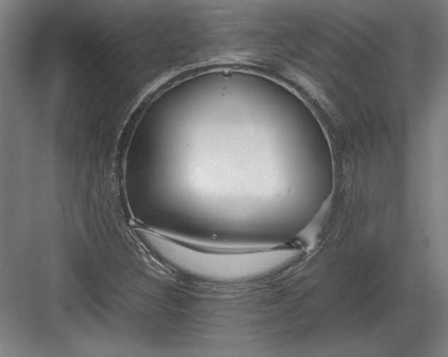 X0000082751308200702161949